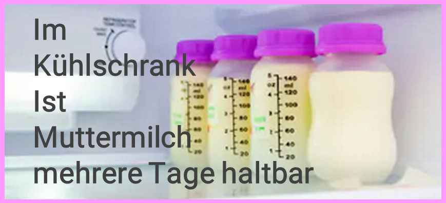 Muttermilch im Kühlschrank aufbewahren Muttermilch in Milchflasche im Kühlschrank