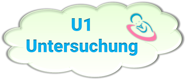 U1 Untersuchung: So entwickelt sich dein Baby